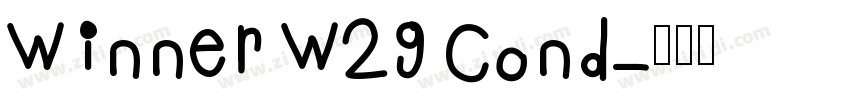 Winner W29 Cond字体转换
